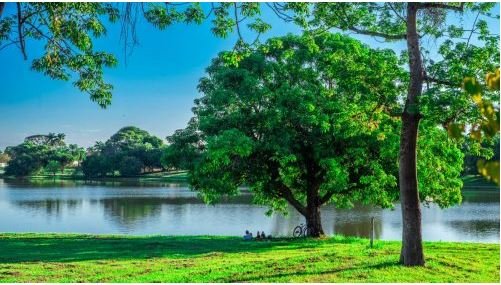 Lago de Planura MG - Cartão postal da cidade